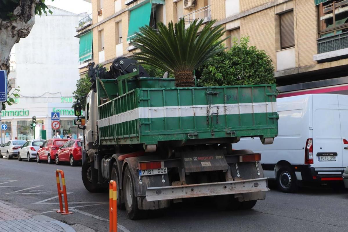 Preparativos para peatonalizar la Viñuela