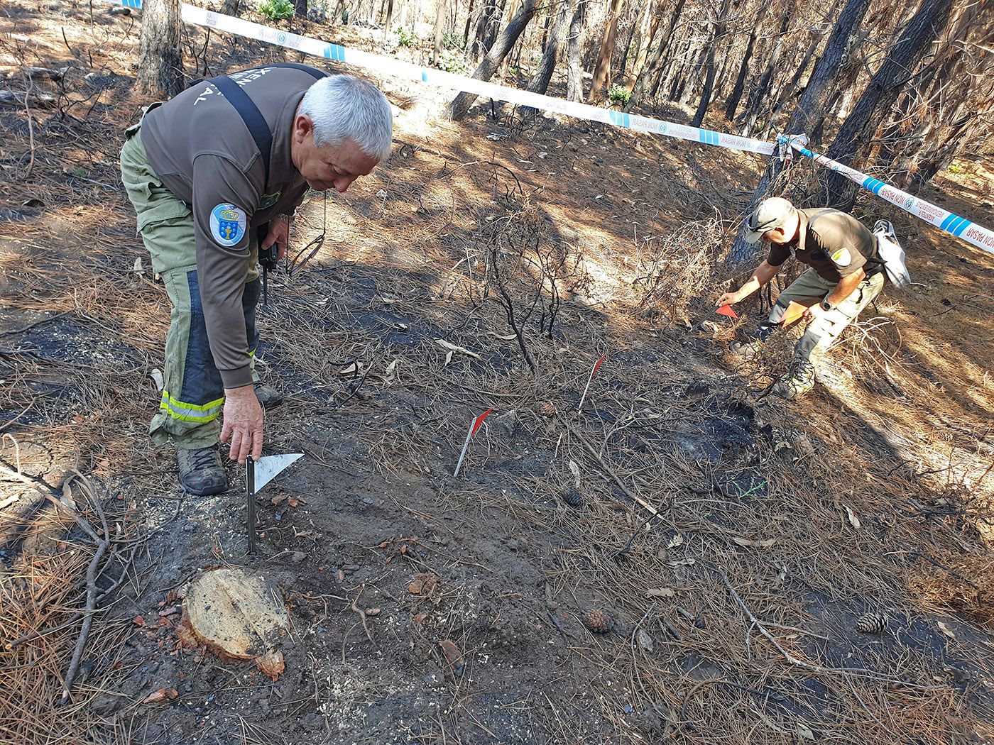 Rastreadores de incendios