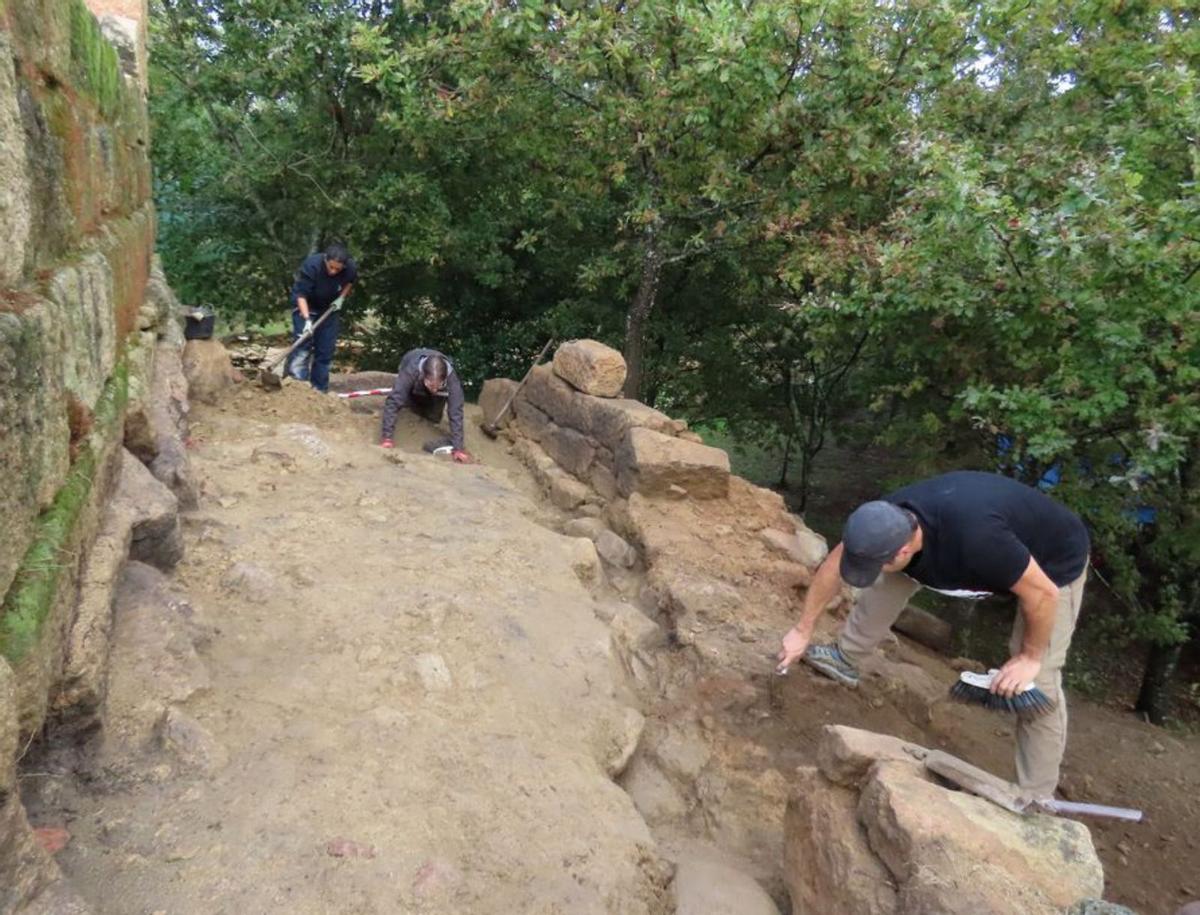 Árbore Arqueoloxía |