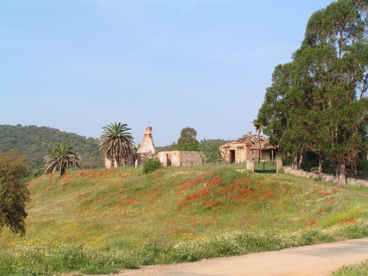 Vistas del Cerro del Hierro.