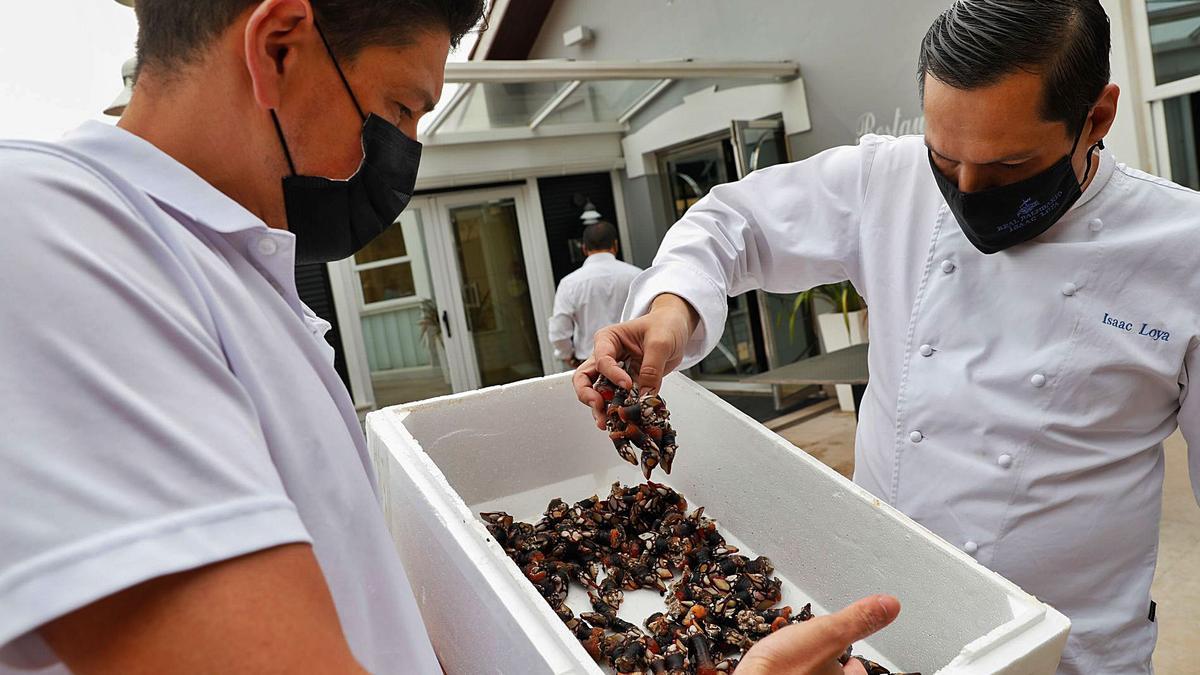 Los Guillén y los Loya, el idilio que surgió del mar Cantábrico