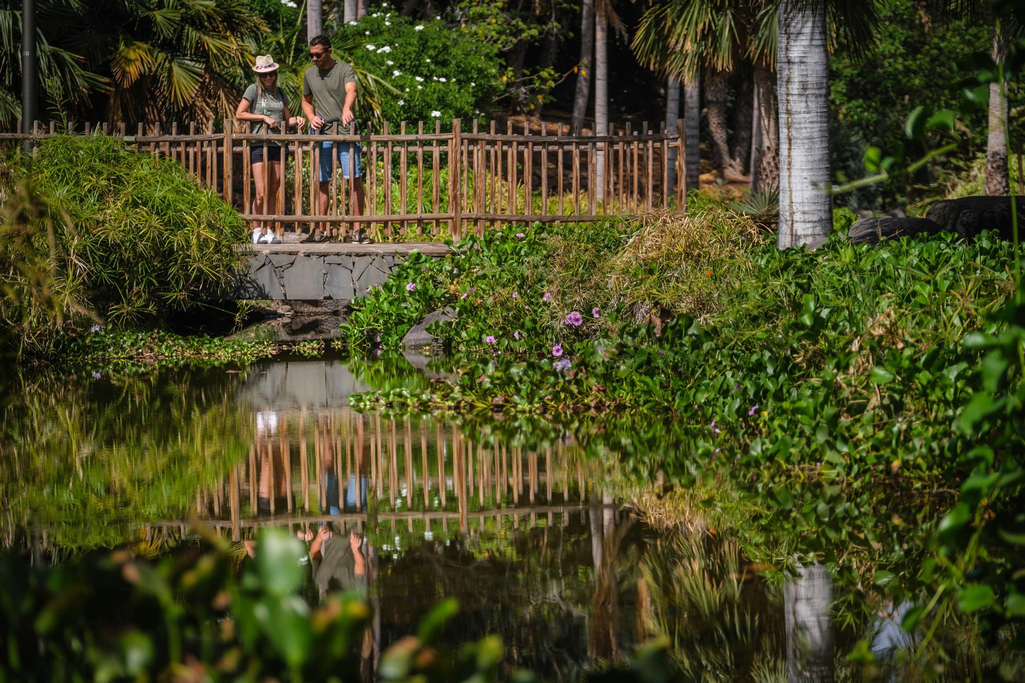 Nuevas inversiones para el Palmetun y el Parque Marítimo de Santa Cruz