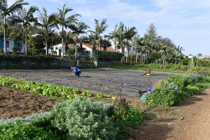 Visita escolar a la Granja Agricola del Cabildo