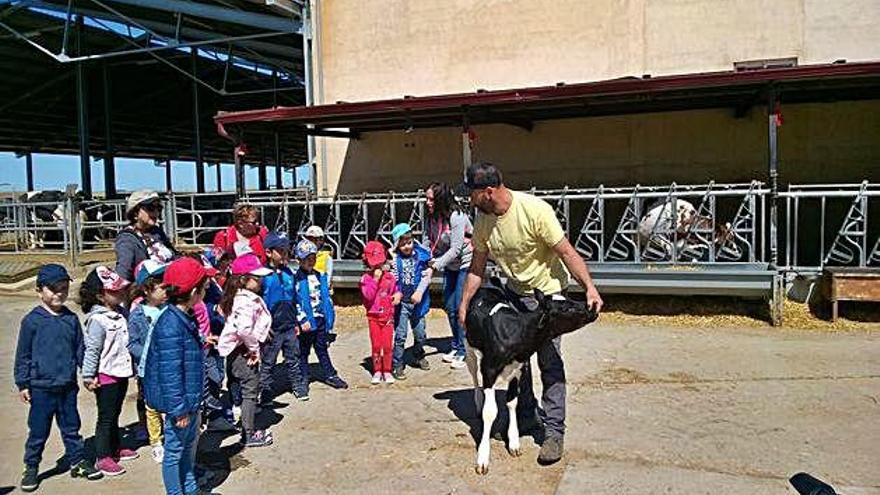 Escolares de La Viña conocen el trabajo de los ganaderos