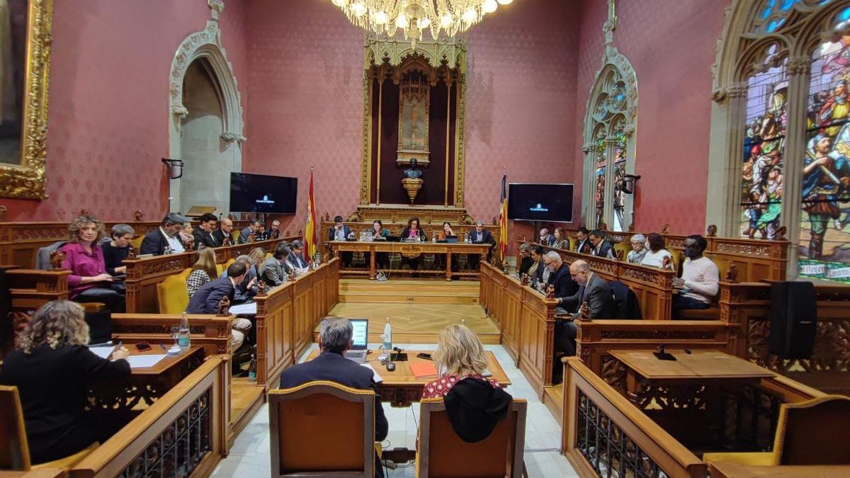 Pleno del Consell de Mallorca