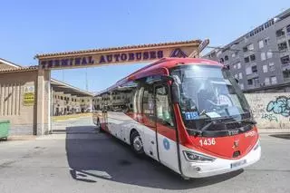 El Ayuntamiento de Torrevieja eleva a 17,7 millones el presupuesto para comprar 32 autobuses del nuevo transporte urbano