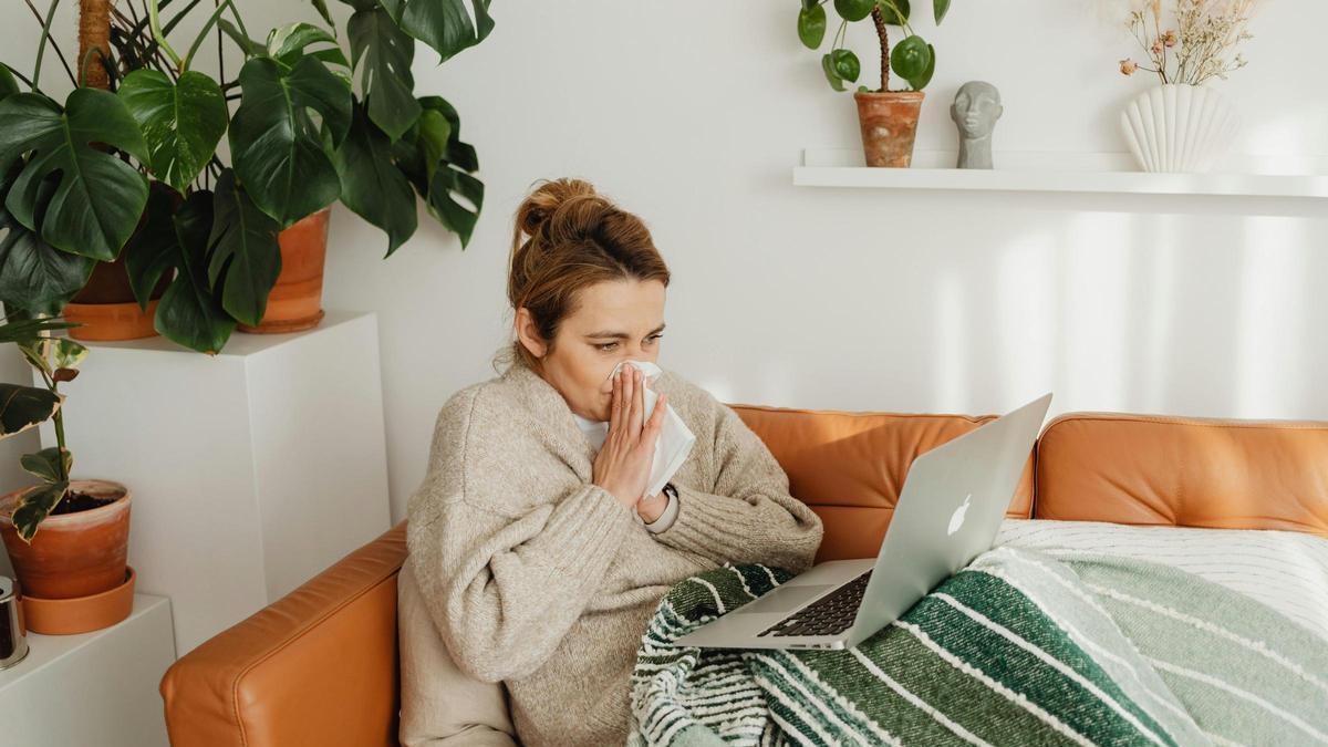 El clima de estos meses fomenta el periodo de alergia.