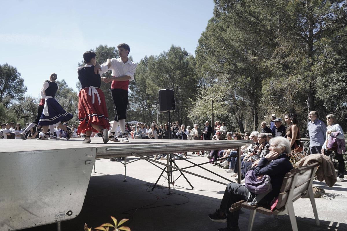 Públic observant un dels ballets de l'aplec de Joncadella