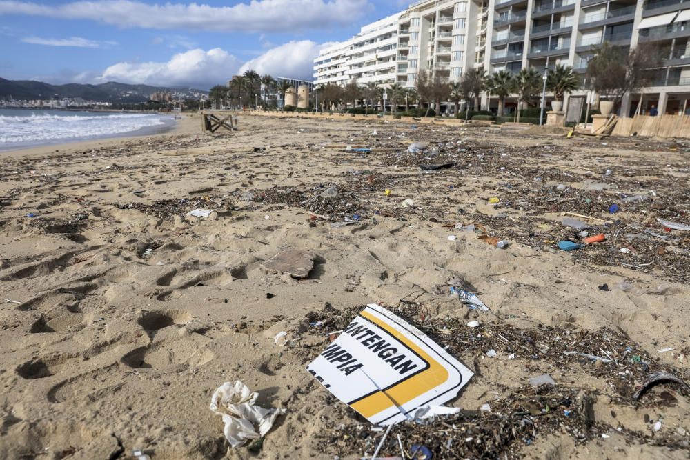 El litoral de Palma amanece lleno de plásticos y toallitas