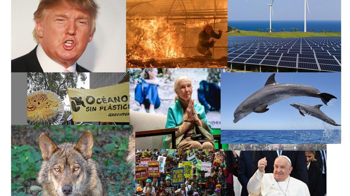Imágenes de la actualidad medioambiental de 2025