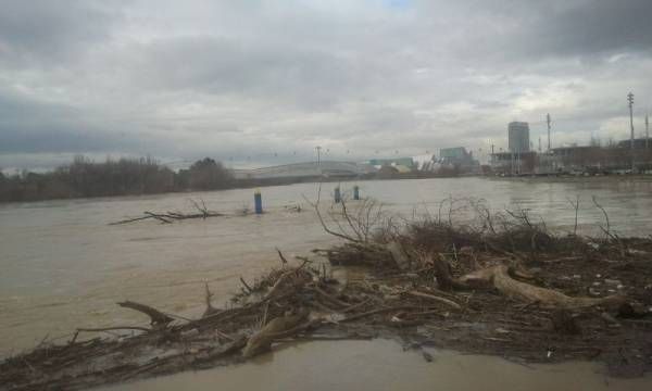 Fotogalería: La crecida del Ebro a su paso por Zaragoza