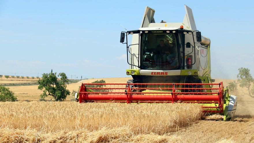 Més de la meitat de les explotacions agràries han desaparegut en 40 anys