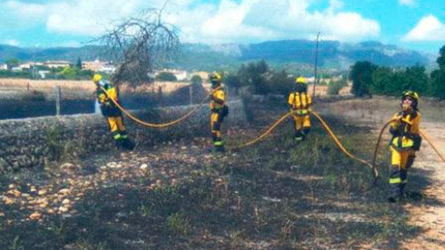 Alarma por un incendio agrícola en Son Boi