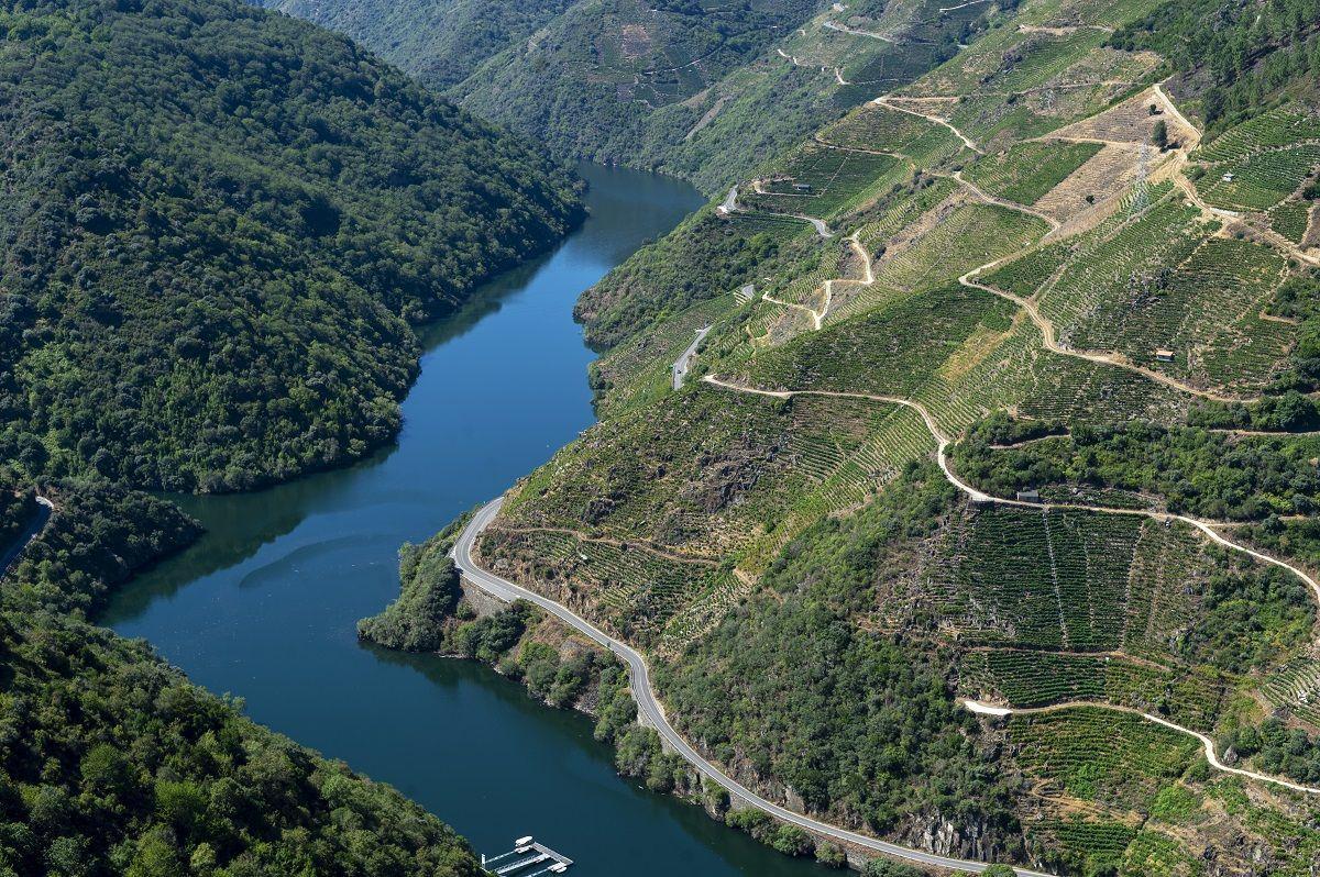 Este caldo se cultiva en las laderas de la Ribeira Sacra y pertenece a la zona de Amandi