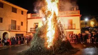 Directo Sant Antoni Castellón: Tradiciones, hogueras, actos... y suspensiones en los municipios