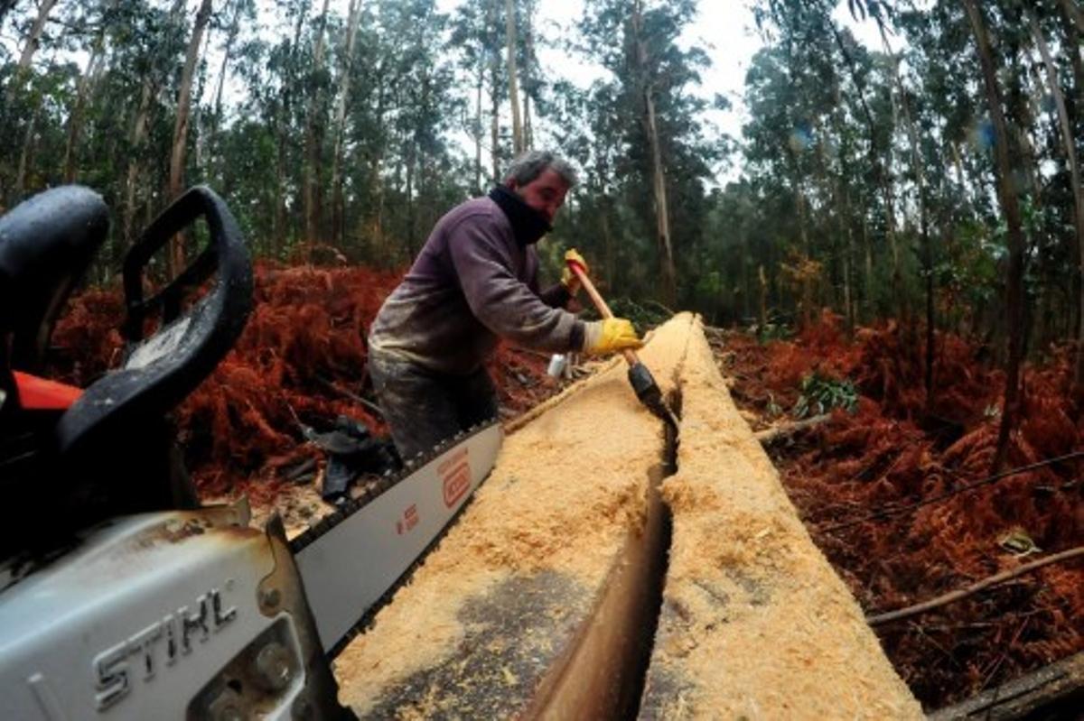 Construcción de una batea en Arousa