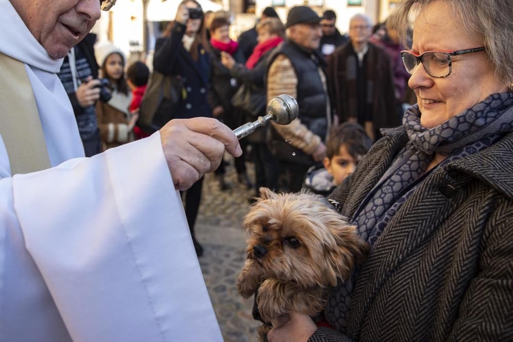 Anglès celebra la Fira de Sant Antoni