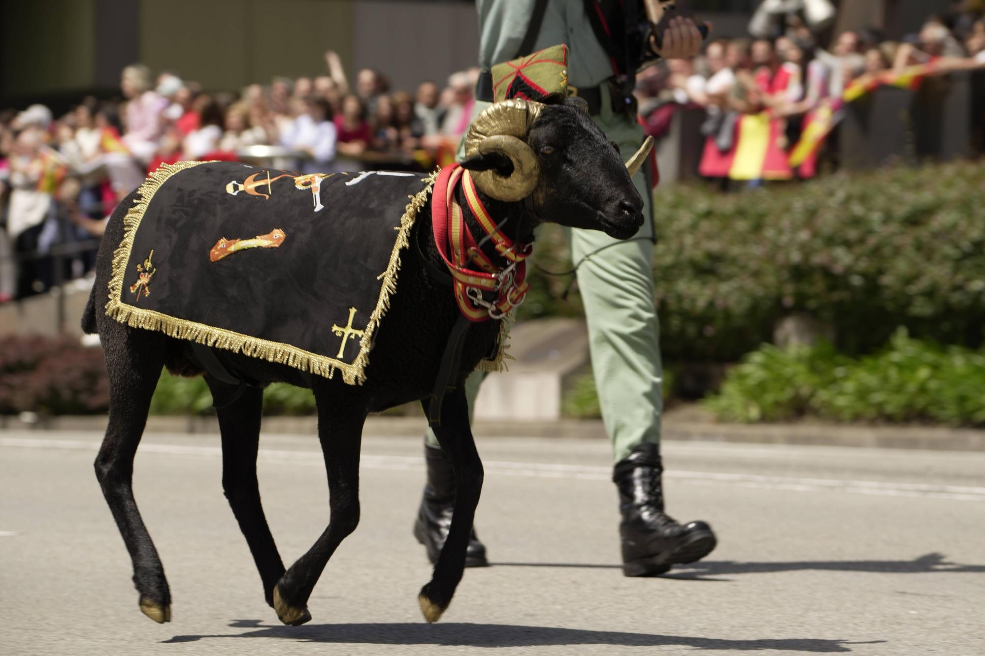 EN IMÁGENES: Así fue el multitudinario desfile en Oviedo por el Día de las Fuerzas Armadas