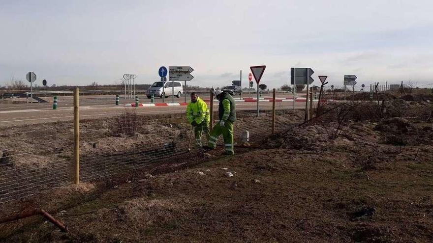 Dos operarios de Tragsa reponen el vallado arrasado por el fuego junto a la Nacional 122.