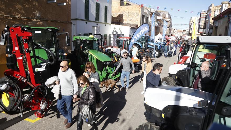 Cuenta atrás para la 515ª edición de la Fira de Sant Andreu en Cabanes: Todos los actos