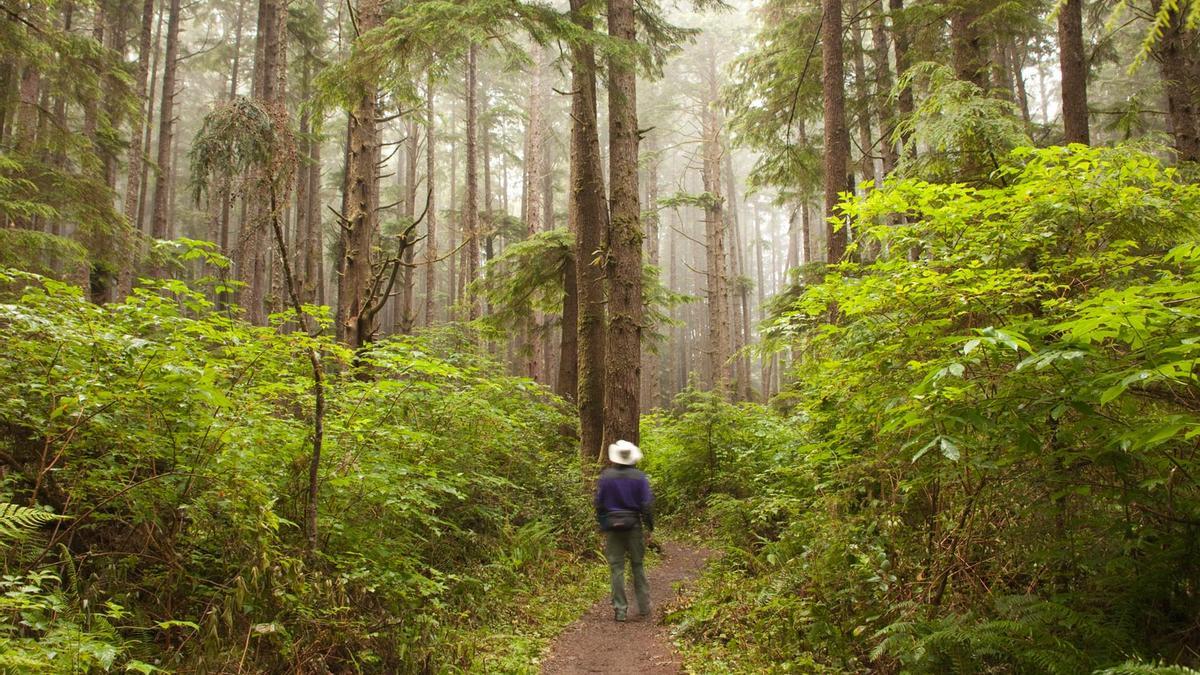 Olympic National Park, destinos silenciosos