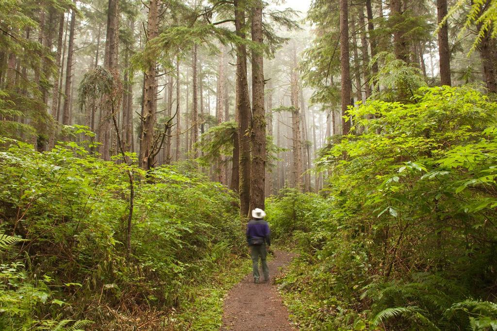 Olympic National Park, destinos silenciosos