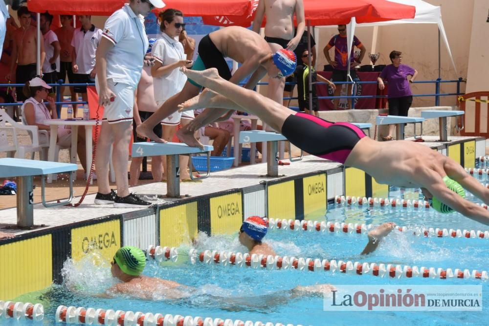 Final del Campeonato regional de natación.