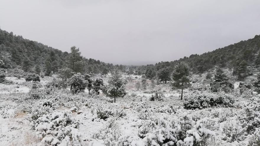 Nieve en Requena y Utiel