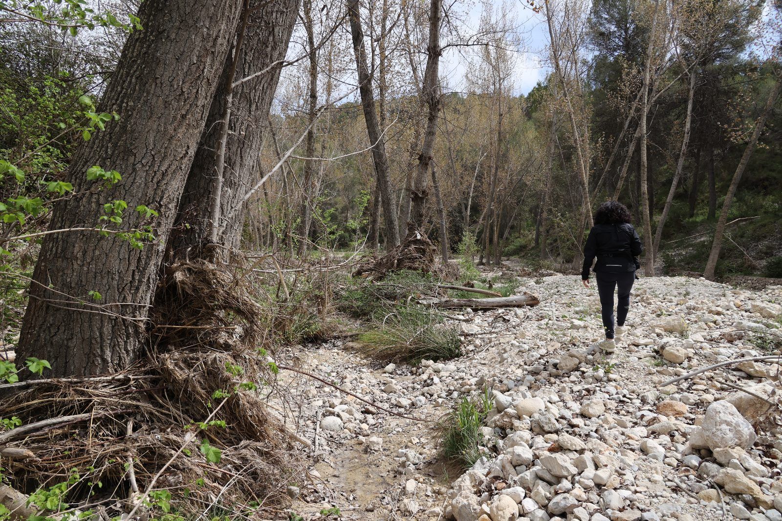 Los daños en el Racó de Sant Bonaventura de Alcoy