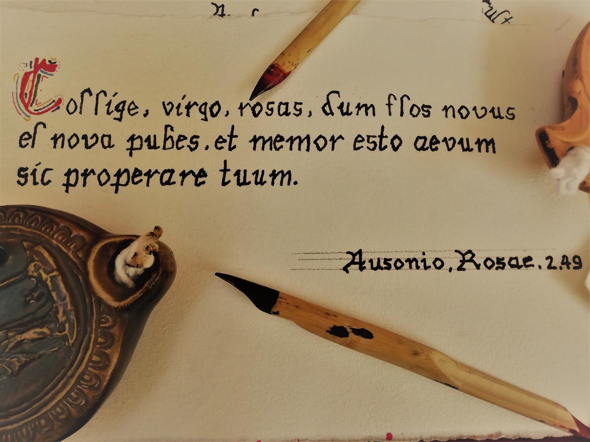 Los versos de Caesar.