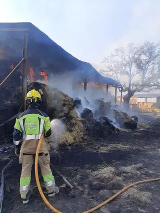 Fotogalería | Intervención del Sepei de Cáceres en Montehermoso
