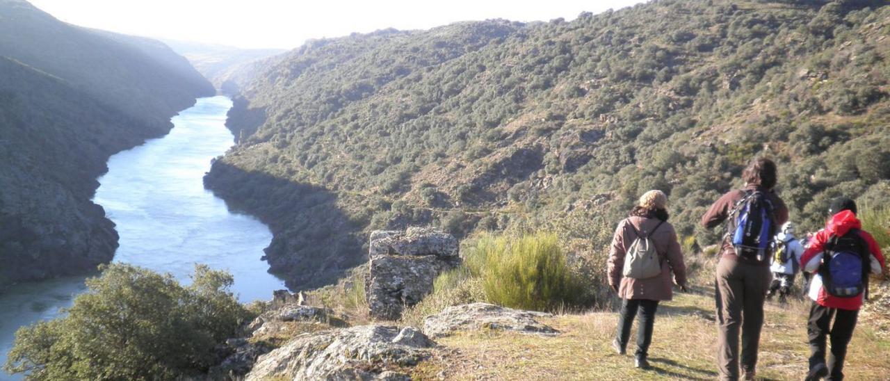 Senderistas de los miradores hacia el río encañonado, en el Parque Natural Arribes del Duero. | I. G.