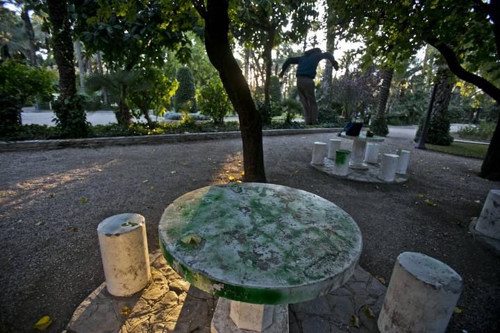 El Parque Municipal de Elche, una perla verde que hay que atender mejor