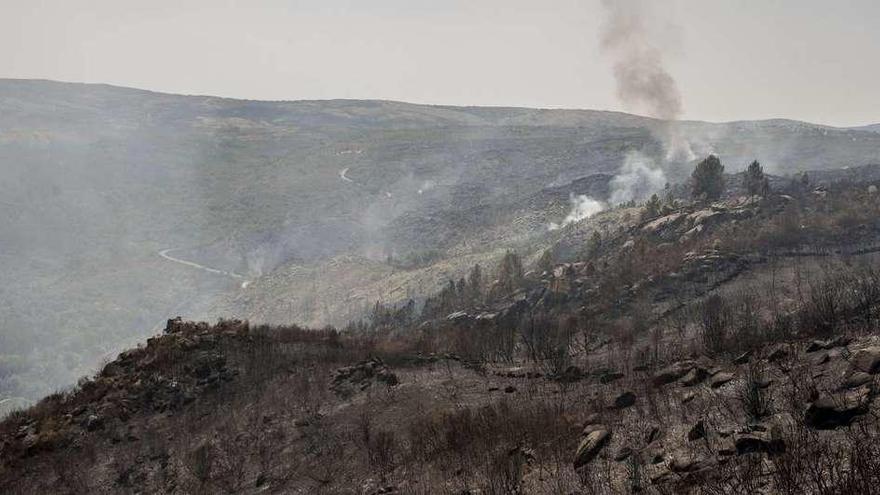 Incendio forestal en Salgueira y Vilaza, dentro del término municipal de Monterrei. // Brais Lorenzo