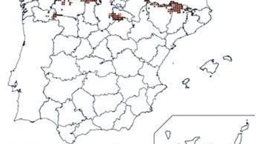 Zona de ubicación de la perdiz pardilla en España. | Junta