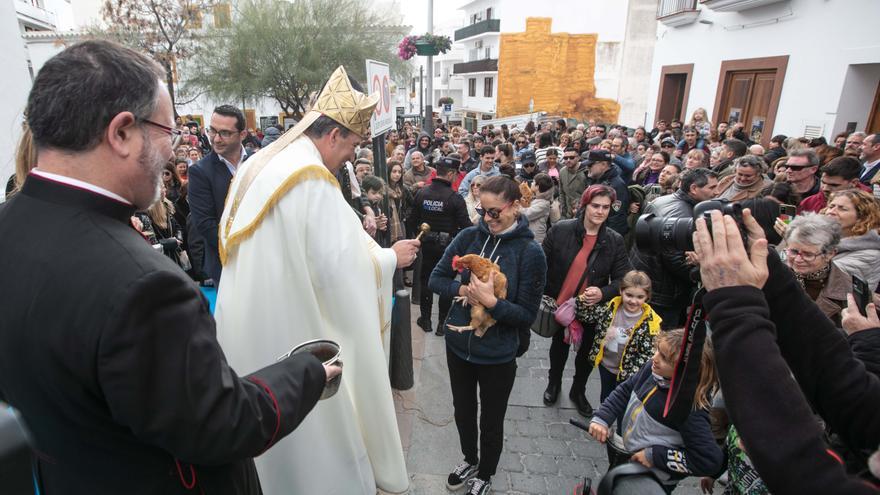 Fiestas en Ibiza: Agua bendita para el gallo Felipe y la tortuga Robin en Sant Antoni