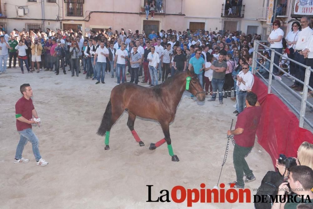 Día uno de mayo, entrada de caballos al Hoyo