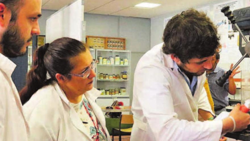 Alumnos junto a una profesora en una de las prácticas en el laboratorio de la Politécnica. |