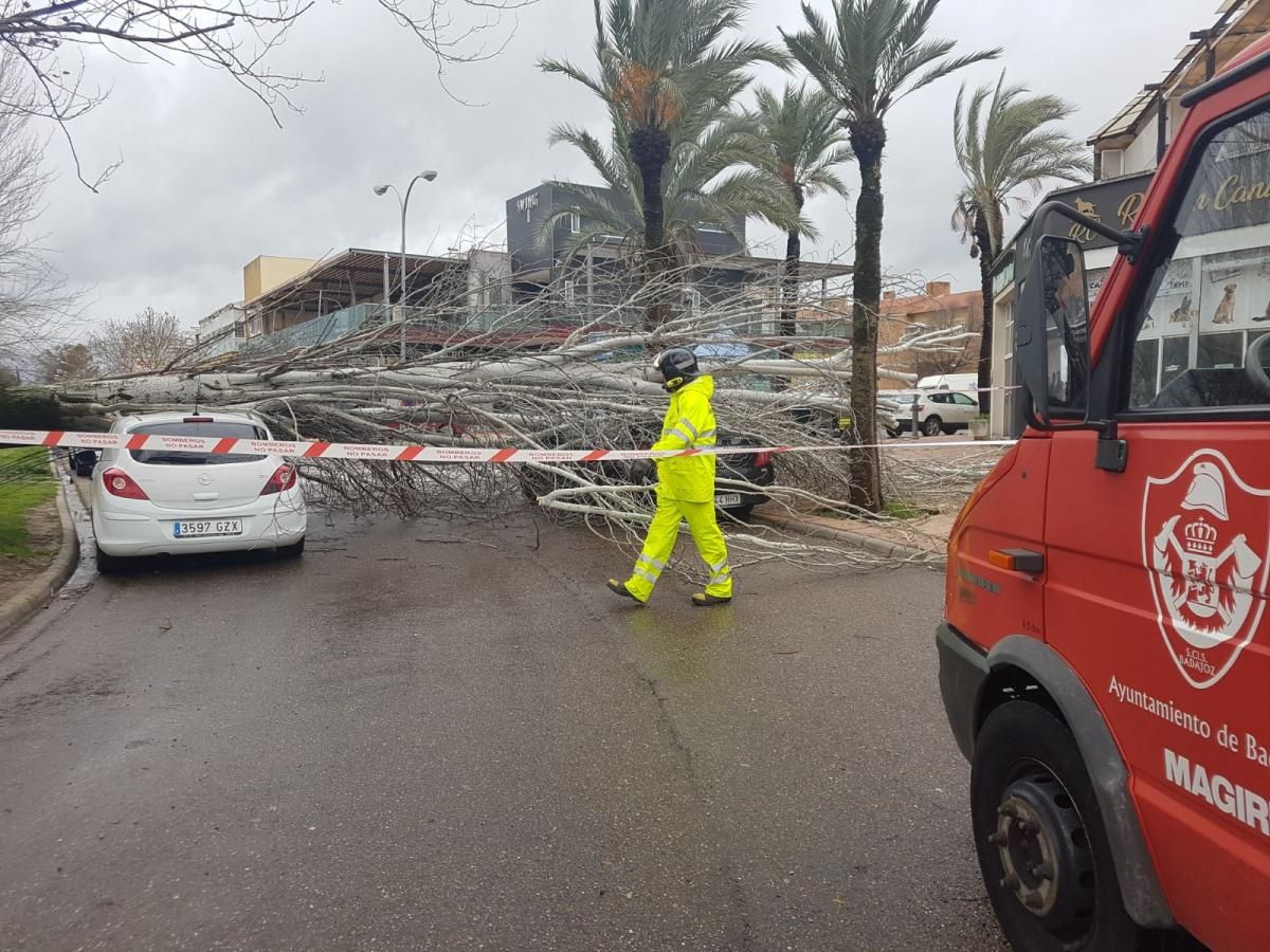 La borrasca Gisele deja huella en Extremadura