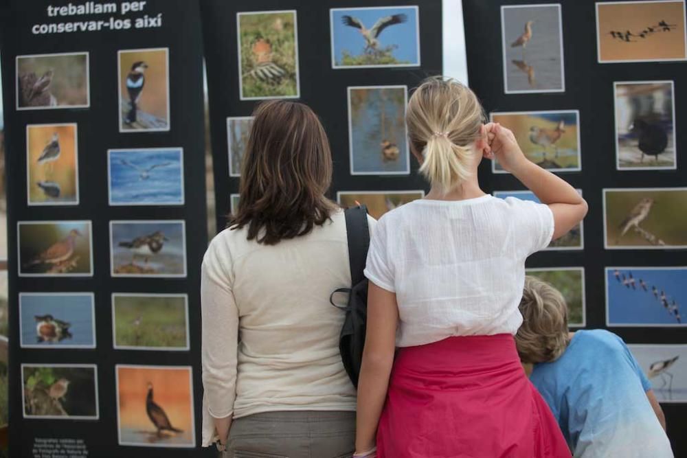 Día de las aves en es Carnatge