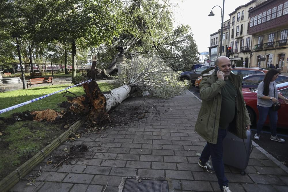 Daños del temporal en Avilés.