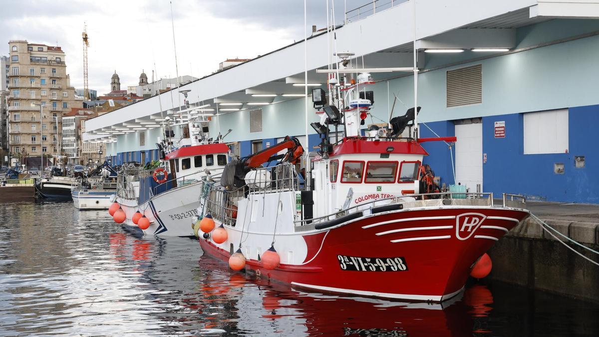Barcos de cerco amarrados en el puerto de Vigo el pasado diciembre.