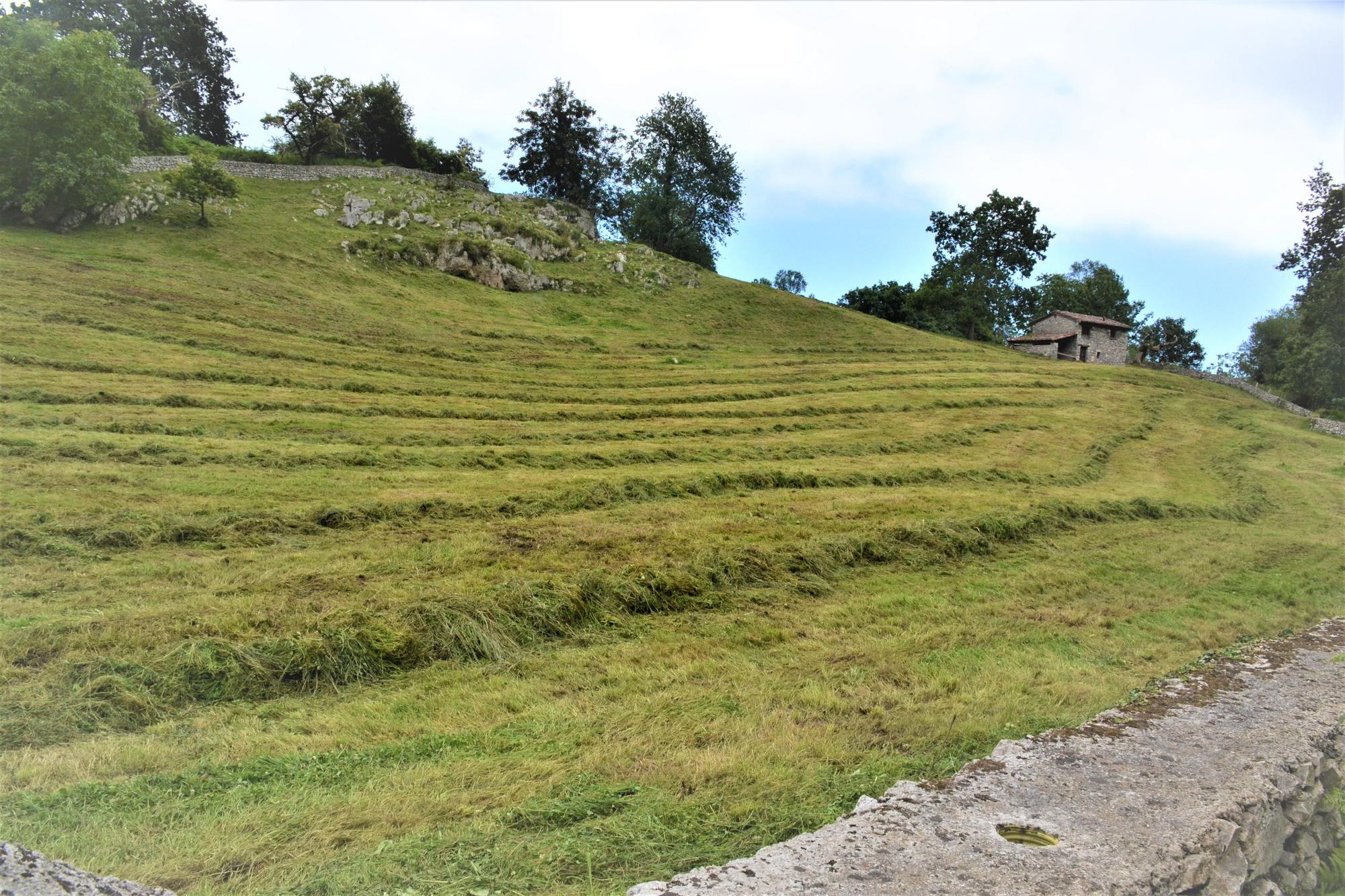 De ruta por Porrúa: siete kilómetros de  postal de la Asturias rural