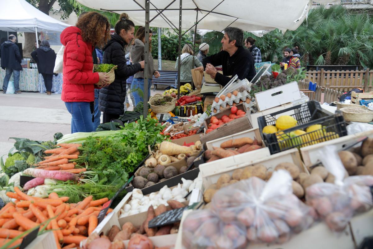 Palma/Fotos para reportaje del mercado ecológico de plaza Patines.