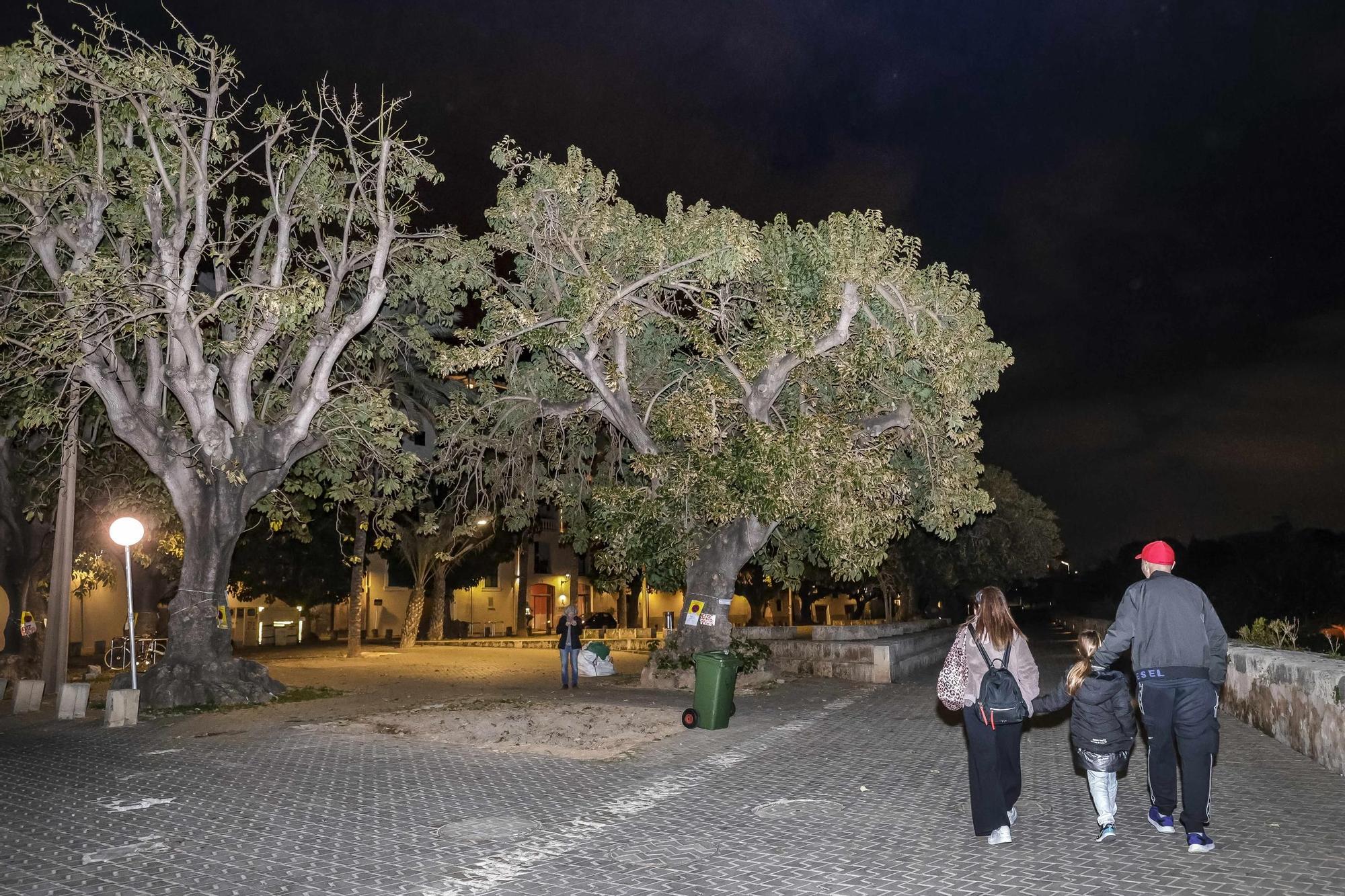 Revuelta de vecinos contra la tala de árboles en la plaza Llorenç Villalonga
