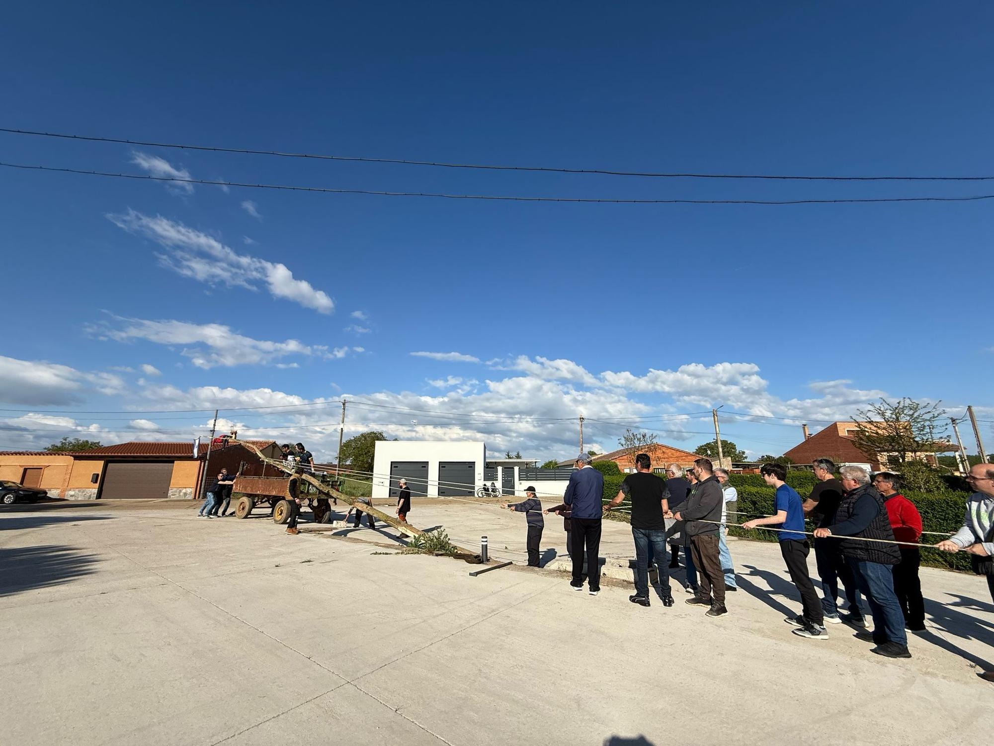 GALERÍA | Arcos de la Polvorosa cumple con la tradicional puesta del mayo