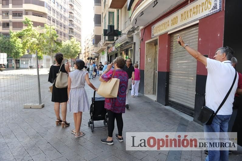 El día después de la caída de la rama del ficus de