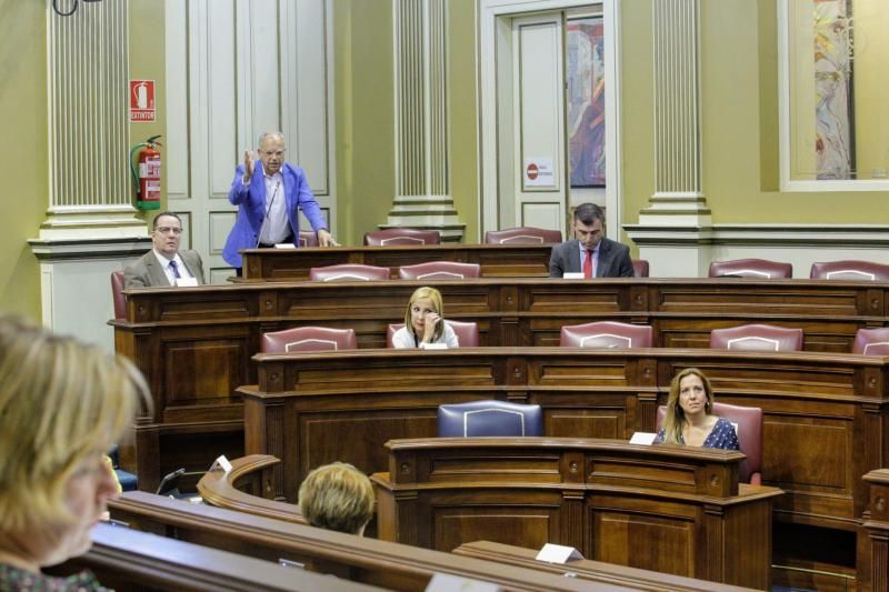 Pleno del Parlamento de Canarias  preside Gustavo Matos , presidente del gobierno , Victor Torres   | 19/05/2020 | Fotógrafo: Delia Padrón