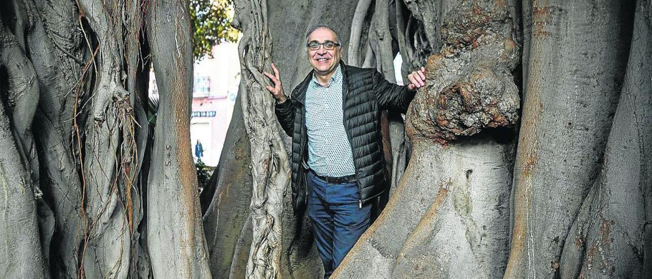 El profesor Carlos Gómez Gil posa entre los ficus de la plaza de Gabriel Miró, uno de sus espacios favoritos de la ciudad.