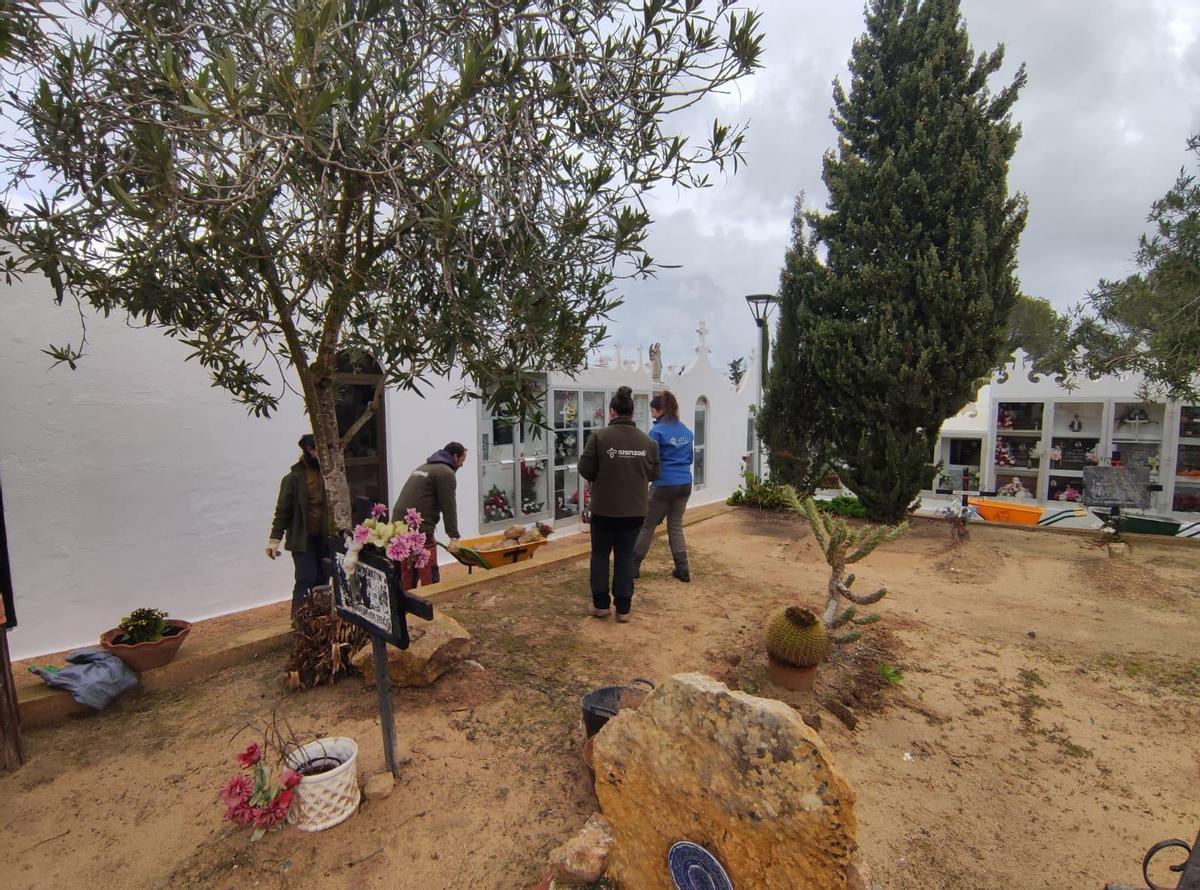 Inicio de las excavaciones del V Plan de Fosas en Formentera